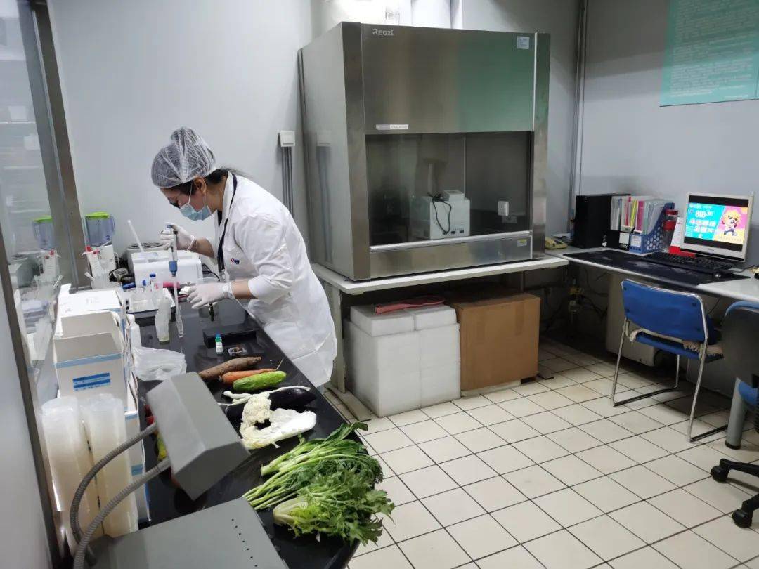 德化食品检测实验室装修方案